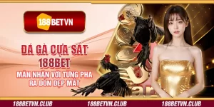 Đá gà cựa sắt 188Bet - Mãn nhãn với từng pha ra đòn đẹp mắt