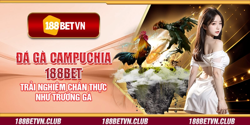 Đá gà Campuchia 188Bet - Trải nghiệm chân thực như trường gà