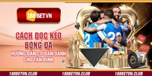 Cách đọc kèo bóng đá - Hướng dẫn cơ bản dành cho tân binh