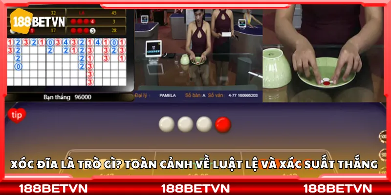 Xóc đĩa là trò gì? Toàn cảnh về luật lệ và xác suất thắng 