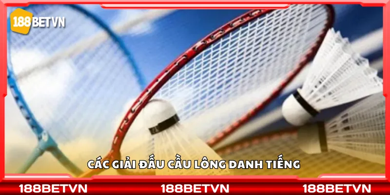 Các giải đấu cầu lông danh tiếng 