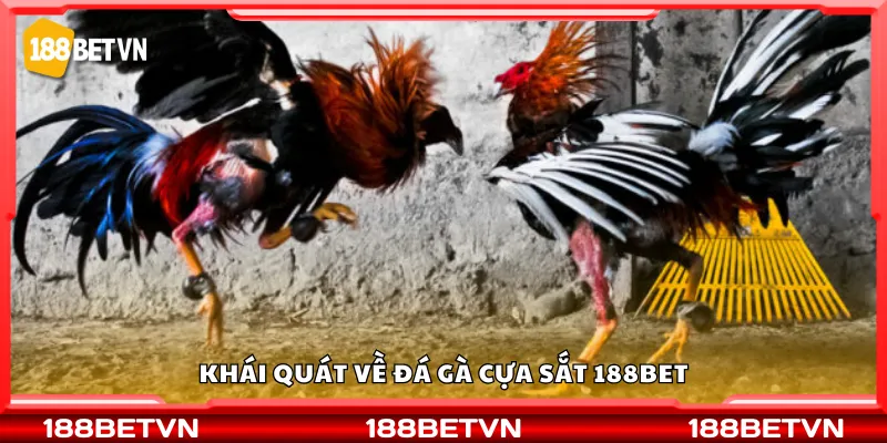 Khái quát về đá gà cựa sắt 188Bet