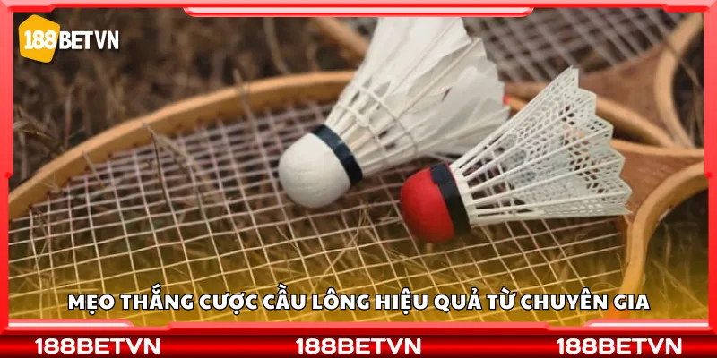 Mẹo thắng cược cầu lông hiệu quả từ chuyên gia