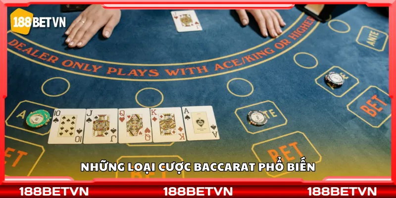 Những loại cược baccarat phổ biến