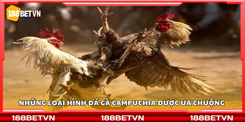 Những loại hình đá gà Campuchia được ưa chuộng 