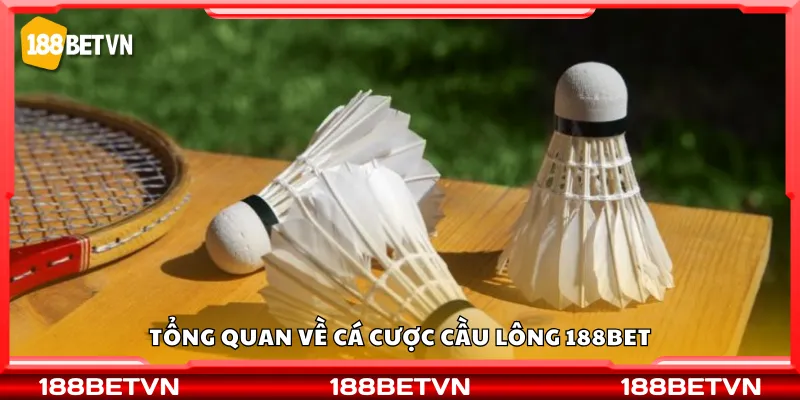 Tổng quan về cá cược cầu lông 188Bet